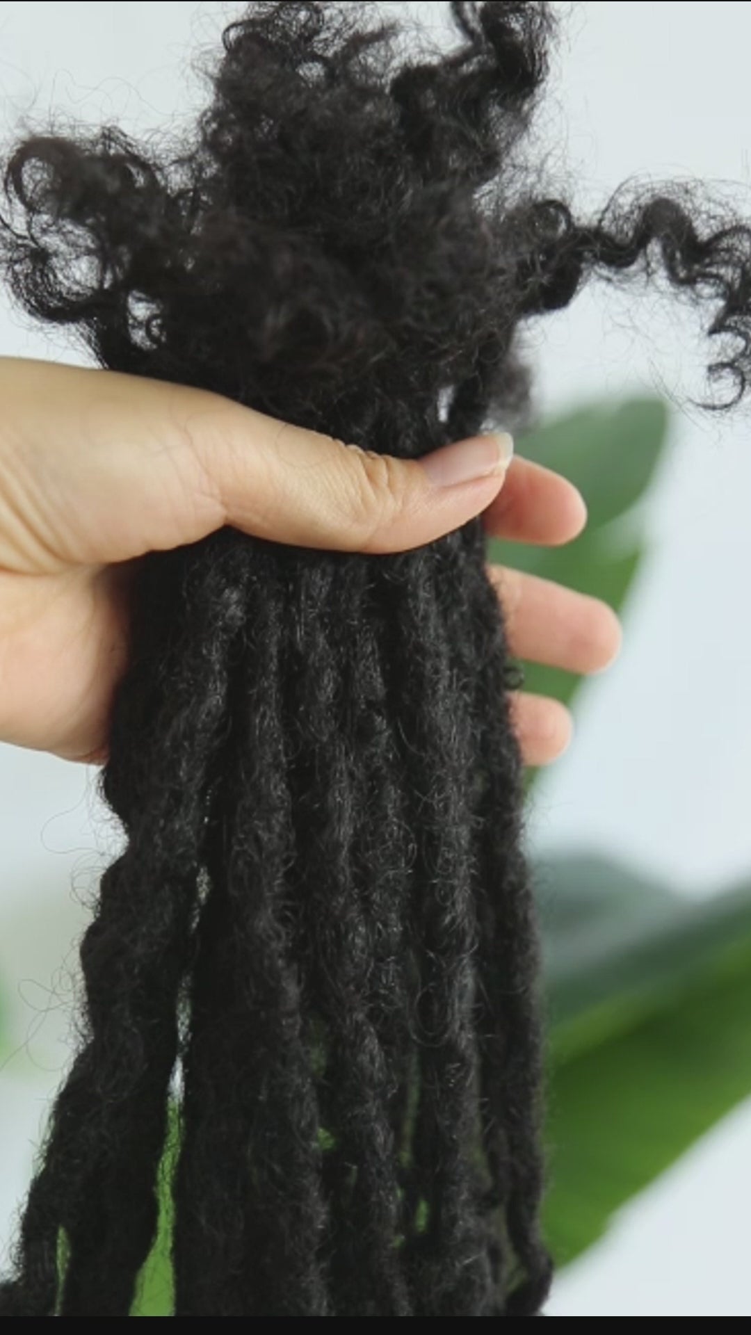 curly hair for goddess box braids
